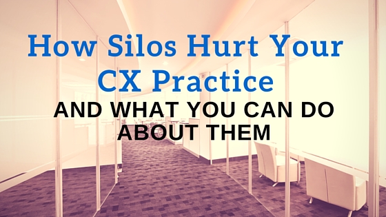 How Silos Hurt Your CX Practice—and What You Can Do About Them